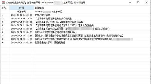 高效追蹤，一目了然 電腦批量查詢芝麻開門快遞物流與票據信息全攻略