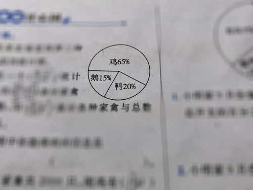 從統(tǒng)計圖中解讀票據(jù)信息咨詢服務的核心信息